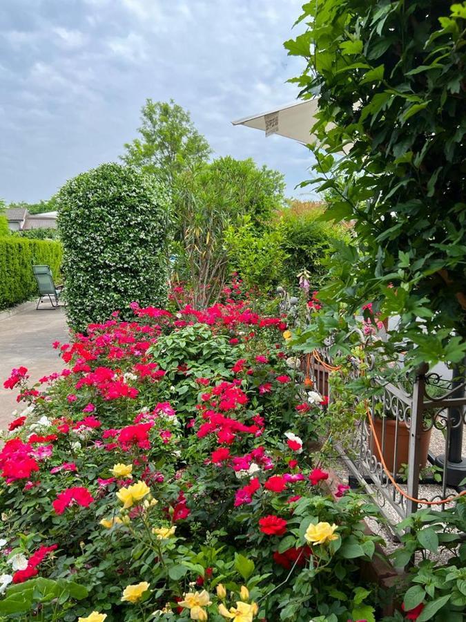 Casa Serenella B&B - Casa Vacanze Piazzola sul Brenta Exterior foto